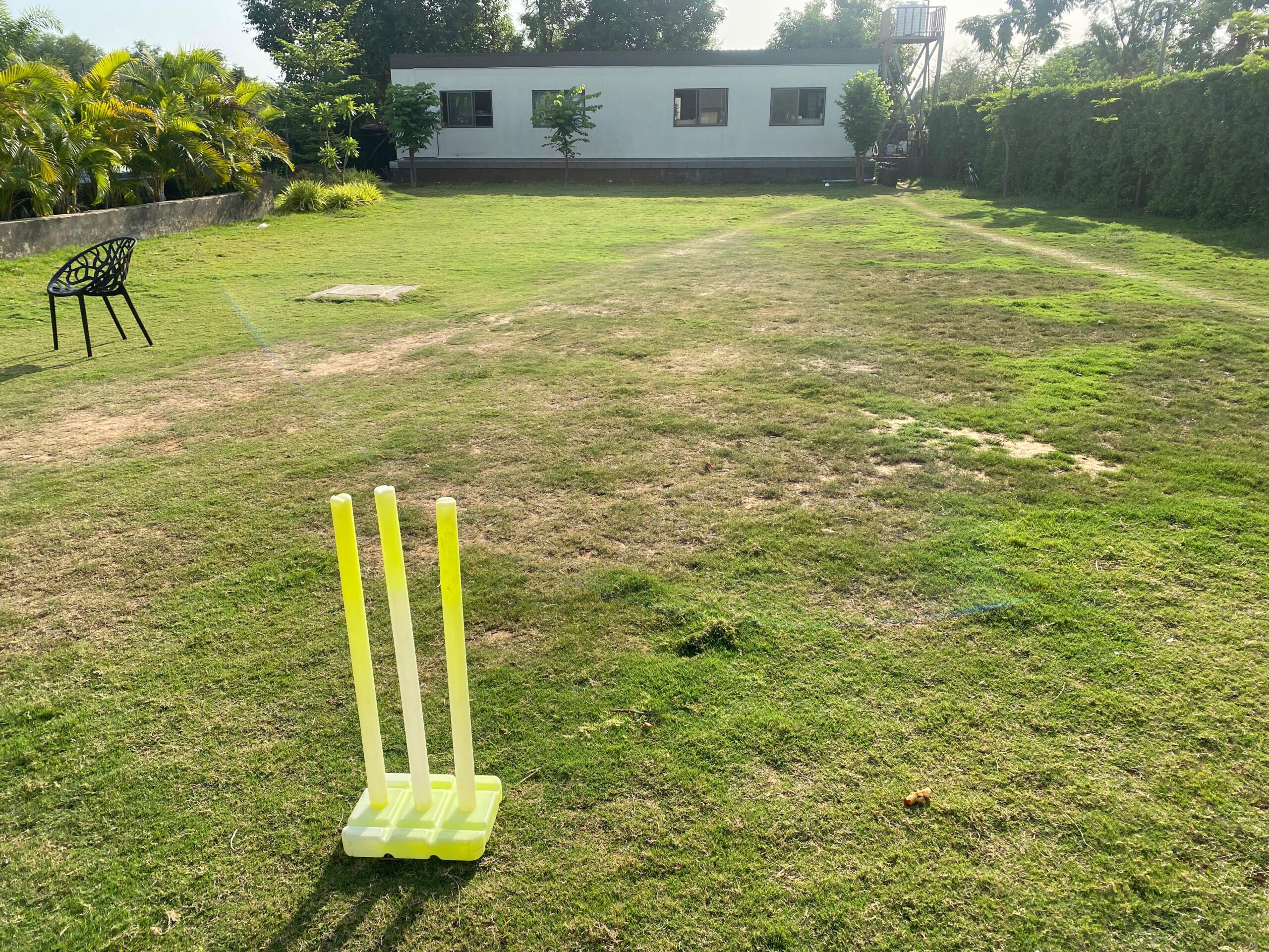 Outdoor lawn area