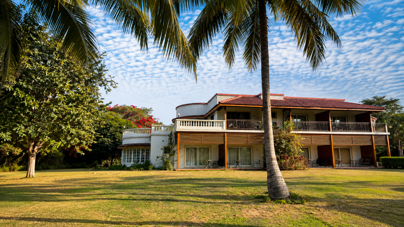 lawn outdoor